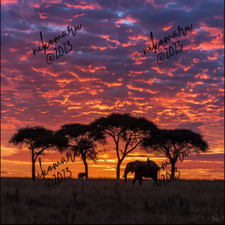 Papel de parede foto imagem digital fundo arte desktop África comprar usado  Enviando para Brazil