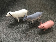 Toy goats pig for sale Toy goats pig for sale  PENRYN