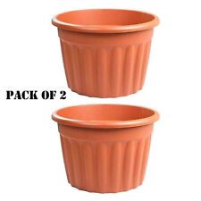 Wham planter pack for sale  BRADFORD