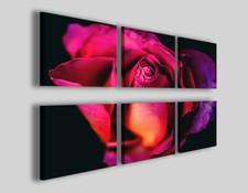Quadri fiori purple usato  Pontecagnano Faiano