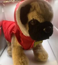 Pug puppy dog for sale  MACDUFF