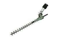 Echo ppa hedge for sale  UK