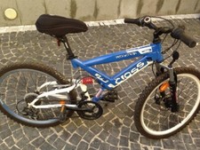 Bici mountain bike usato  Visciano