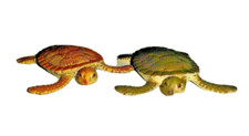 Rubber sea turtles for sale  Gary