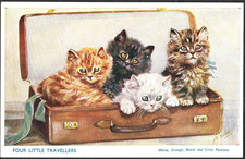 Cats kittens suitcase for sale  BASINGSTOKE