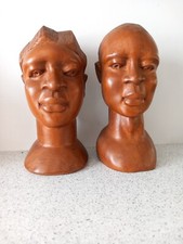 African hardwood male for sale  PLYMOUTH