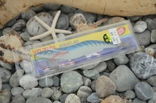 Totanara zuri squid usato  Paola