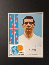 haynes usato  Italia