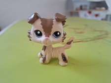 Littlest pet shop gebraucht kaufen  Laatzen