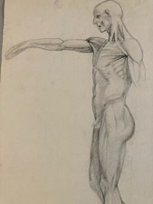 Beau dessin écorché d'occasion  Toulouse-