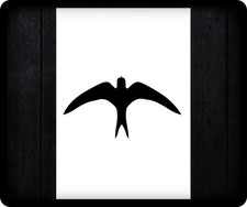 0567 bird aerografo usato  Spedire a Italy