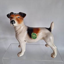 jack russell terrier for sale  CANTERBURY