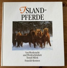 Islandpferde pferdezucht pferd gebraucht kaufen  Boll