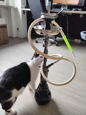 Kaya shisha hookah gebraucht kaufen  Bremerhaven