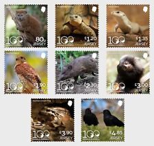 Jersey 2025 animals d'occasion  Lille-