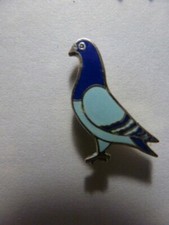 Pin pin pigeon d'occasion  Oisemont