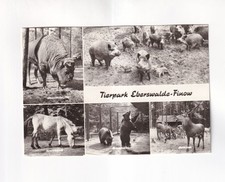 F657 tierpark eberswalde usato F657 tierpark eberswalde usato  Spedire a Italy