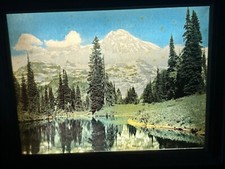 50 x 34 painting for sale 50 x 34 painting for sale Chambersburg