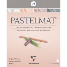 Clairefontaine pastelmat paste gebraucht kaufen  Wurmannsquick
