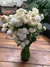 white carnations for sale  SHREWSBURY