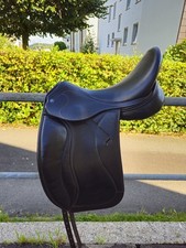 Horse star champion gebraucht kaufen  Görzke