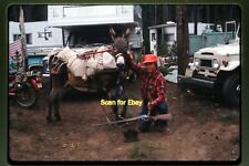 Hunting man truck for sale  Peoria