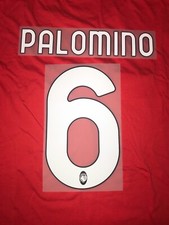 Kit palomino bianco usato  Vanzaghello