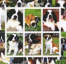 Bernard dog canine for sale  BOURNEMOUTH