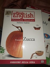 Libro visual english usato  Breno