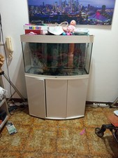 Acquario completo usato Acquario completo usato  Cassino