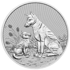 cuisto dingo d'occasion  Expédié en Belgium