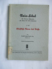 Stein fibel teil gebraucht kaufen  Bad Düben