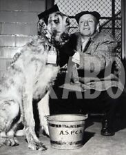 Vintage animali regno usato  Roma