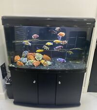 Boyu aquarium fish for sale  ILFORD