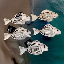 fish skeletons for sale fish skeletons for sale Crestline