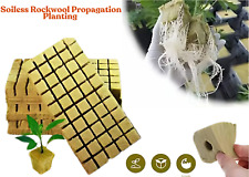 Soiless rockwool propagation for sale  BRADFORD