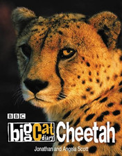 Big cat diary for sale  ROSSENDALE