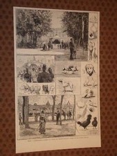 Roma esposizione animali usato  Villarosa