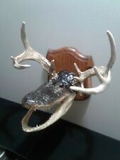 Taxidermy art piece for sale  New Boston