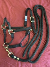 Hybrid halter lead for sale  Bloomfield