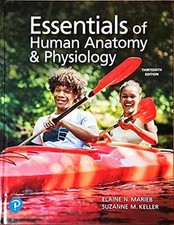 Essentials of Human Anatomy & - Hardcover, by Elaine N. Marieb; - Good comprar usado  Enviando para Brazil