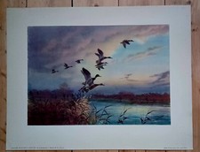 Vintage art print for sale  HULL
