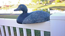 blue bill duck decoys for sale  Chandler