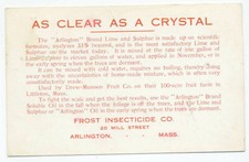 1910 postcard advertising for sale  Savannah