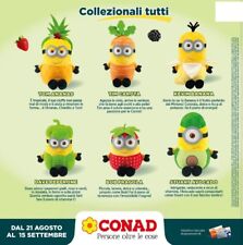 Minions conad 2024 usato  Italia