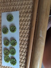 Avocado green buttons for sale  MANCHESTER