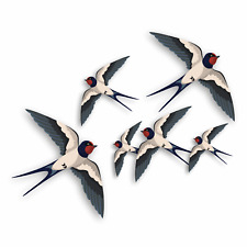 Flying swallows bird for sale  TAMWORTH