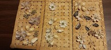 Sea shell floral for sale  Gravois Mills