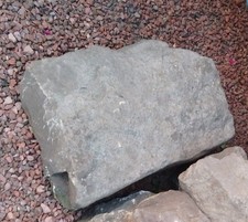 Free yorkshire garden for sale  PUDSEY