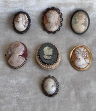 Mixed collection shell for sale  HAYWARDS HEATH